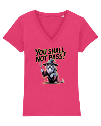 YOU SHALL NOT PASS! NU VEI TRECE! caine de paza / protectie Raspberry