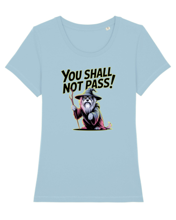 YOU SHALL NOT PASS! NU VEI TRECE! caine de paza / protectie Sky Blue