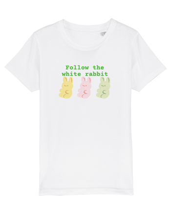 Follow the white rabbit White