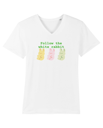 Follow the white rabbit White