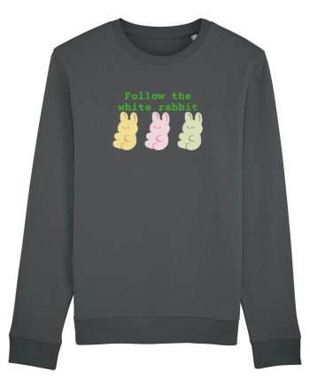 Follow the white rabbit Anthracite