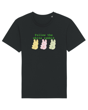Follow the white rabbit Black