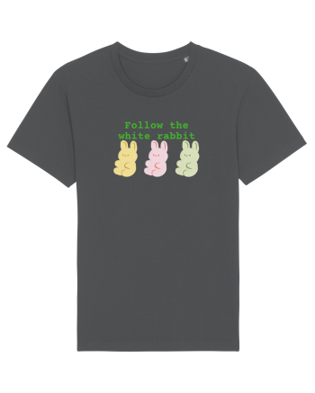 Follow the white rabbit Anthracite