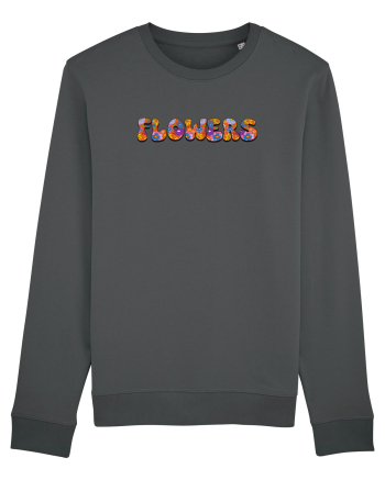 Flowers  Anthracite