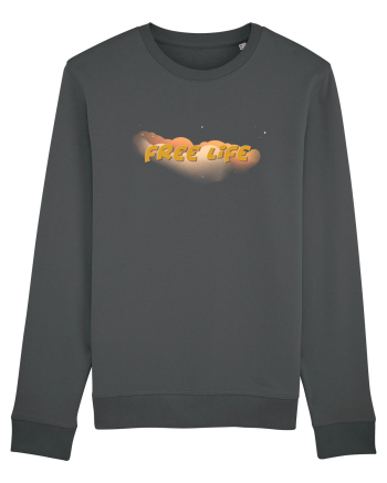 Free life  Anthracite