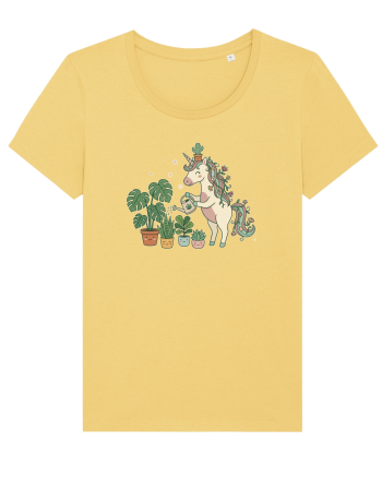 Pentru iubitorii de plante si unicorni Jojoba