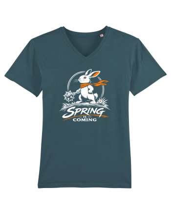 Spring Is Coming – Iepuraș cu Atitudine Stargazer