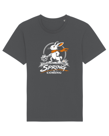 Spring Is Coming – Iepuraș cu Atitudine Anthracite