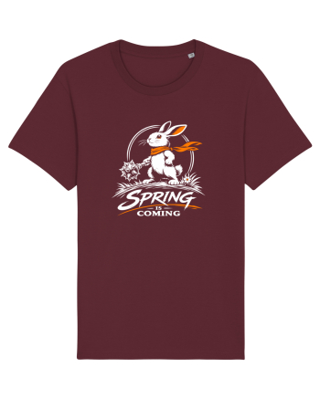 Spring Is Coming – Iepuraș cu Atitudine Burgundy