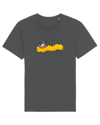Summer  Anthracite