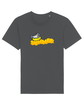 Summer  Anthracite