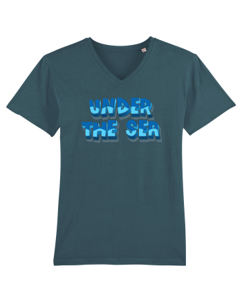 Under the sea Stargazer