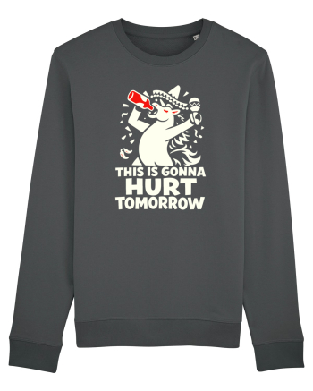 Hangover De Baut Bautura Anthracite