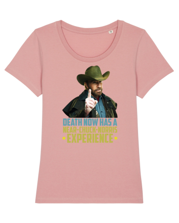Chuck Norris Tribute RIP Canyon Pink