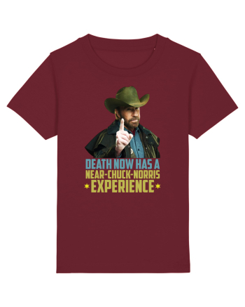 Chuck Norris Tribute RIP Burgundy