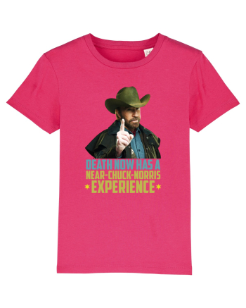 Chuck Norris Tribute RIP Raspberry