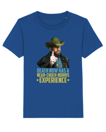 Chuck Norris Tribute RIP Majorelle Blue