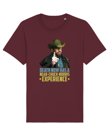 Chuck Norris Tribute RIP Burgundy