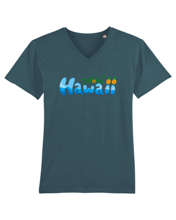 Hawaii  Stargazer