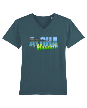 Aloha Hawaii  Stargazer
