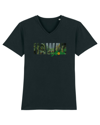 Hawaii  Black