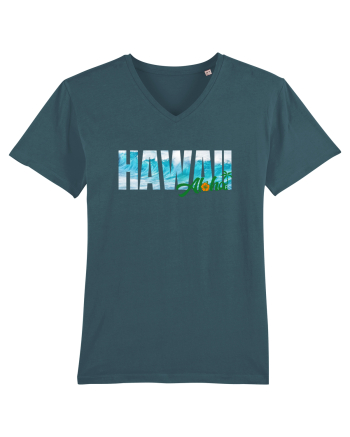 Hawaii  Stargazer