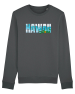 Hawaii  Bluză mânecă lungă Unisex Rise