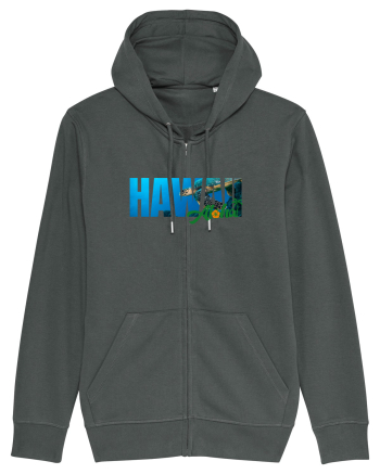 Hawaii  Anthracite