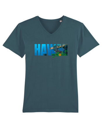 Hawaii  Stargazer