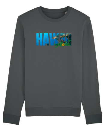 Hawaii  Anthracite