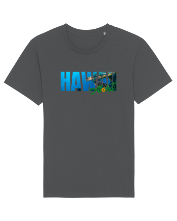 Hawaii  Anthracite