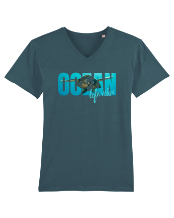 Ocean  Stargazer