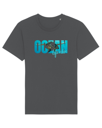 Ocean  Anthracite