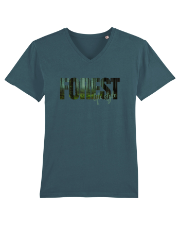 Forest  Stargazer