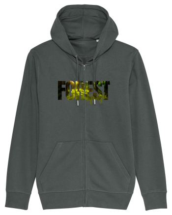 Forest  Anthracite