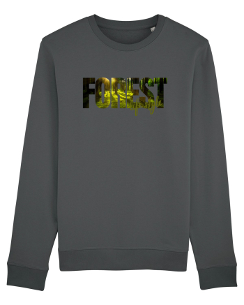 Forest  Anthracite