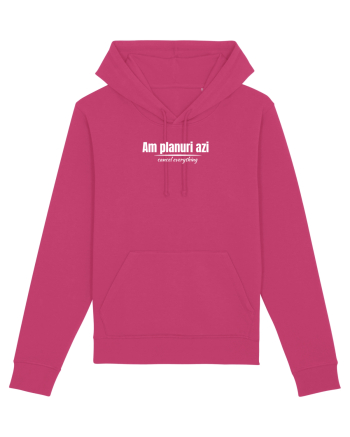 Am planuri azi Raspberry