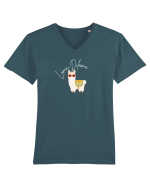 Lama-Dilama  Tricou mânecă scurtă guler V Bărbat Presenter