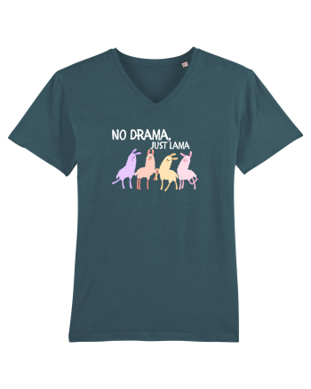 No drama,just lama  Stargazer