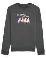 No drama,just lama  Bluză mânecă lungă Unisex Rise