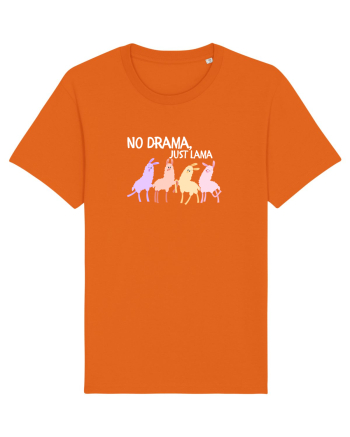 No drama,just lama  Bright Orange