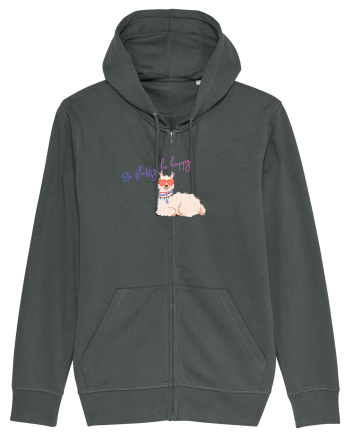 Be fluffy,be happy  Anthracite