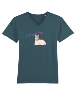 Be fluffy,be happy  Tricou mânecă scurtă guler V Bărbat Presenter