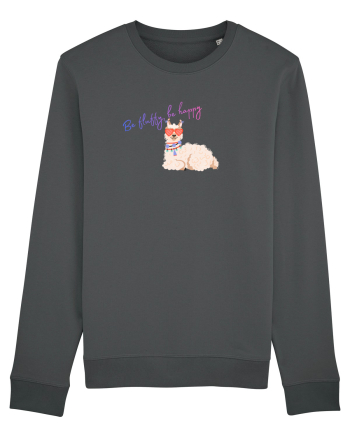 Be fluffy,be happy  Anthracite
