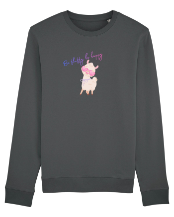 Be fluffy,be happy  Anthracite