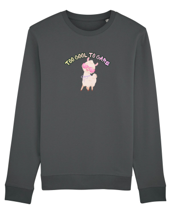 Too cool to care  Anthracite