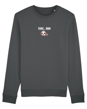 Exist...lejer  Anthracite