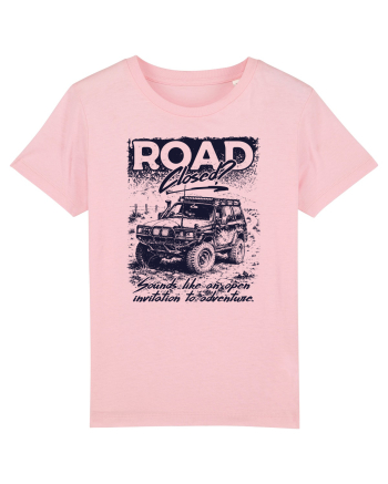 Road Closed? Cotton Pink