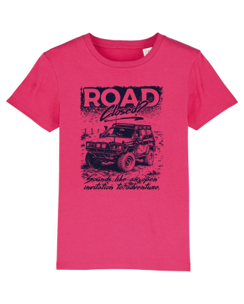 Road Closed? Raspberry