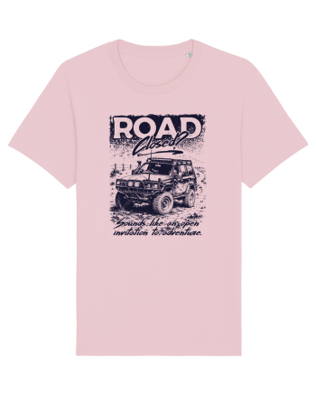 Road Closed? Cotton Pink